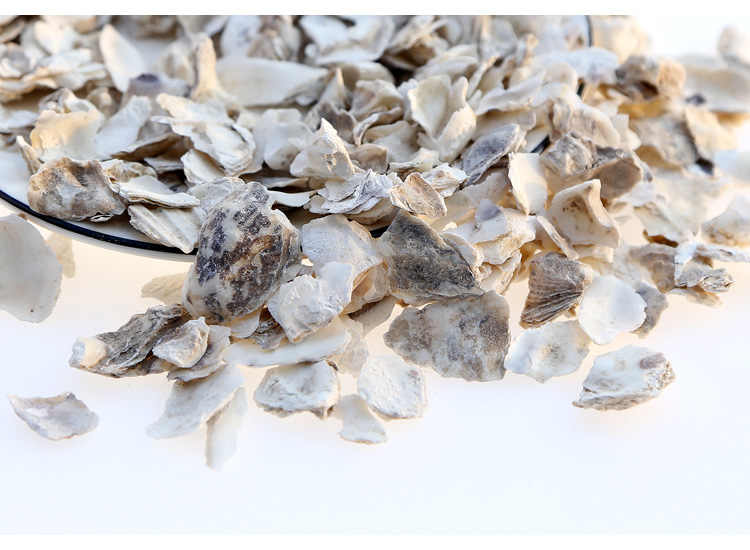 材牡蛎500g克药用牡蛎壳正品牡蛎片生牡蛎