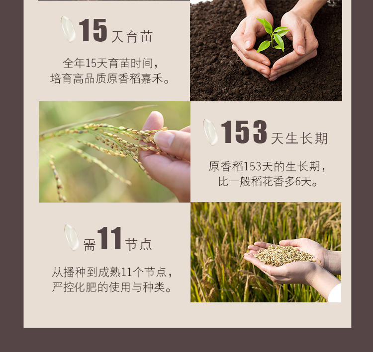 金龙鱼五常基地原香稻2.5kg