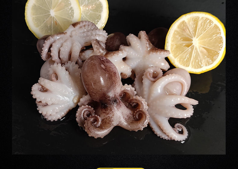 赛卡伊软足类 赛卡伊 八爪鱼鲜活 冷冻海鲜水产爆头小章鱼花短腿刺身