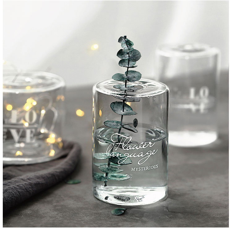 ins北欧简约印花小孔玻璃花器透明水培玻璃花瓶干花香薰瓶封后flower