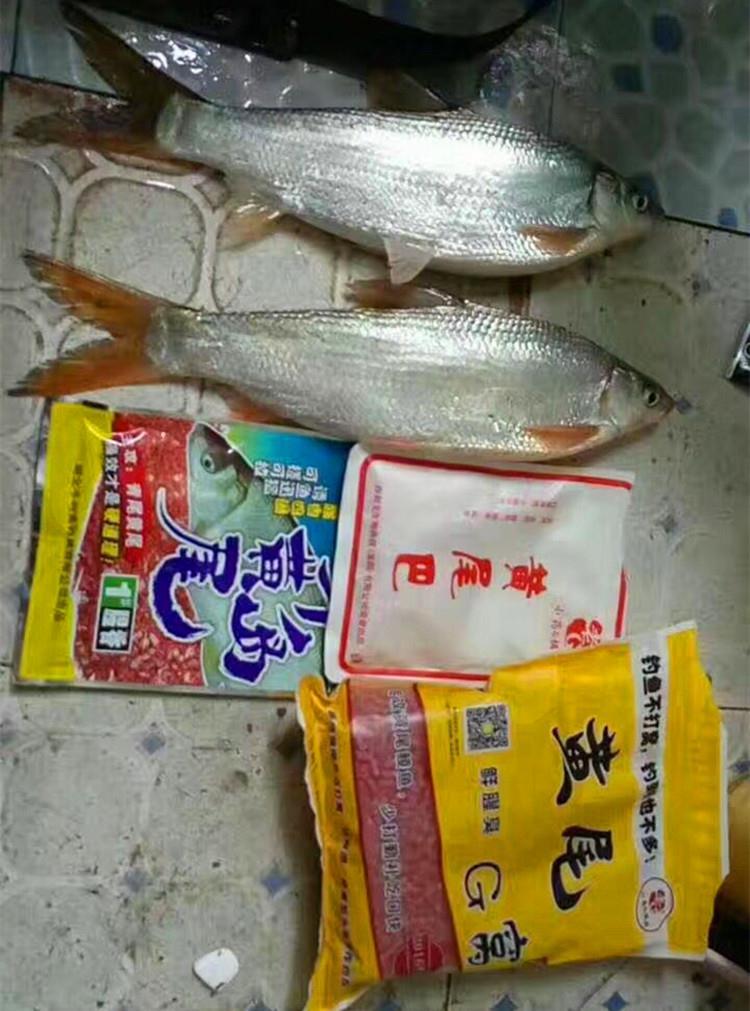 黄尾杀手黄尾巴颗粒鲮鲴黄尾青尾翘嘴打底窝料鱼饵黄尾巴饵料120克包