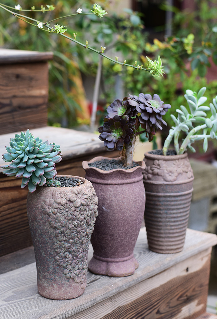 多肉花盆大号老桩高大口径法师植物创意简约陶罐粗陶陶瓷绿植盆器