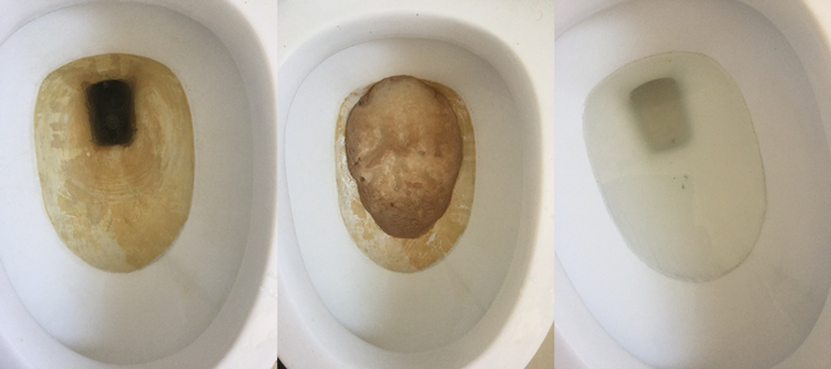 草酸清洁剂坐便洁瓷剂除垢厕所瓷砖卫生间污垢马桶尿垢除锈迹划痕