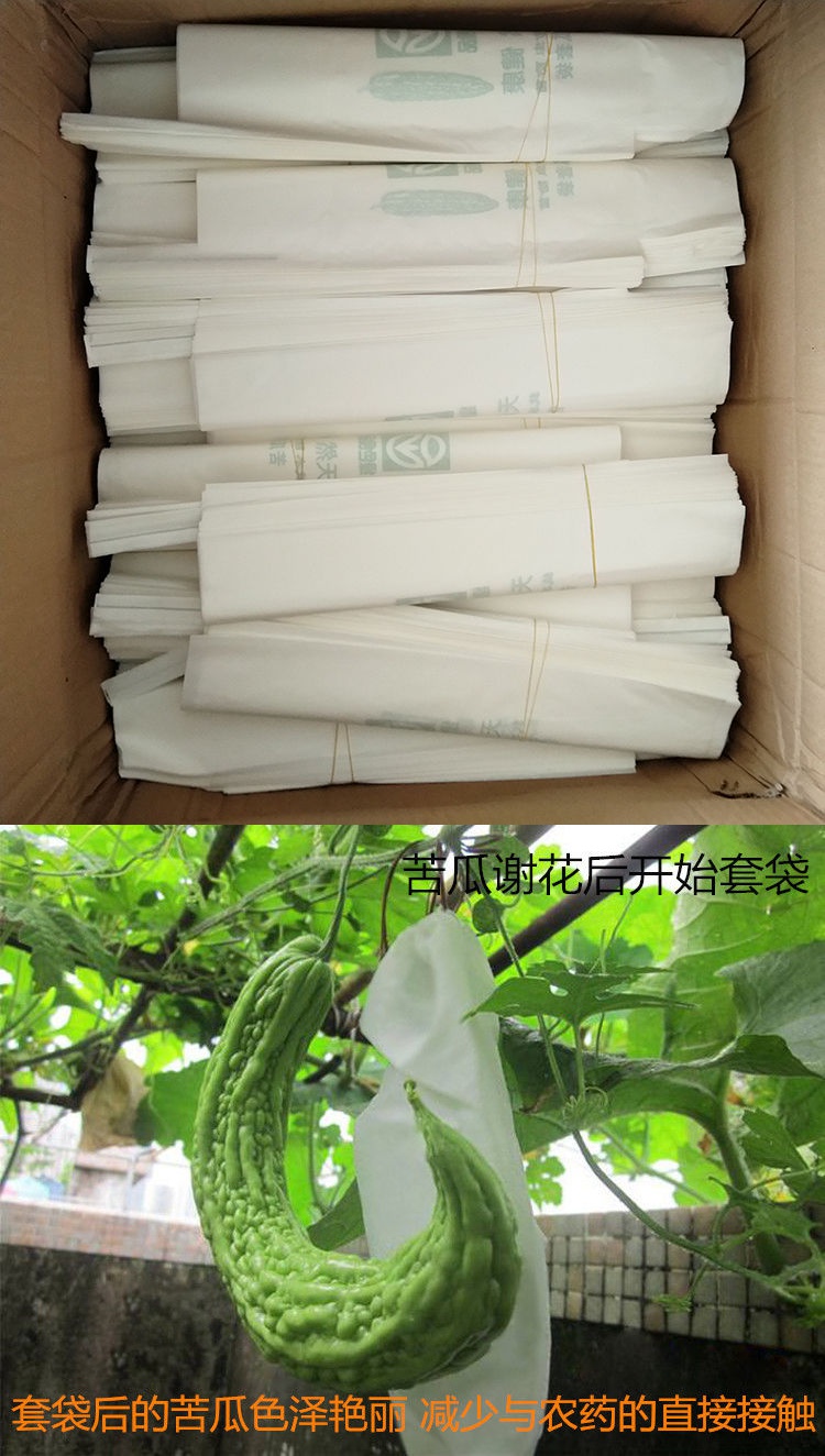 苦瓜瓜丝瓜套袋子防虫鸟防水尘露天青瓜育果保护袋白色纸袋15381件100