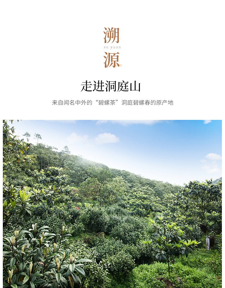 明前产地:中国江苏苏州市国产/进口:国产类别:碧螺春品牌:碧螺