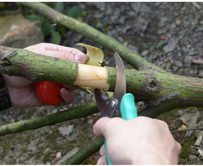 封后彩色胶柄环割修剪树木剪刀葡萄环剥剪扒树皮刀环枝剪环割剪刀