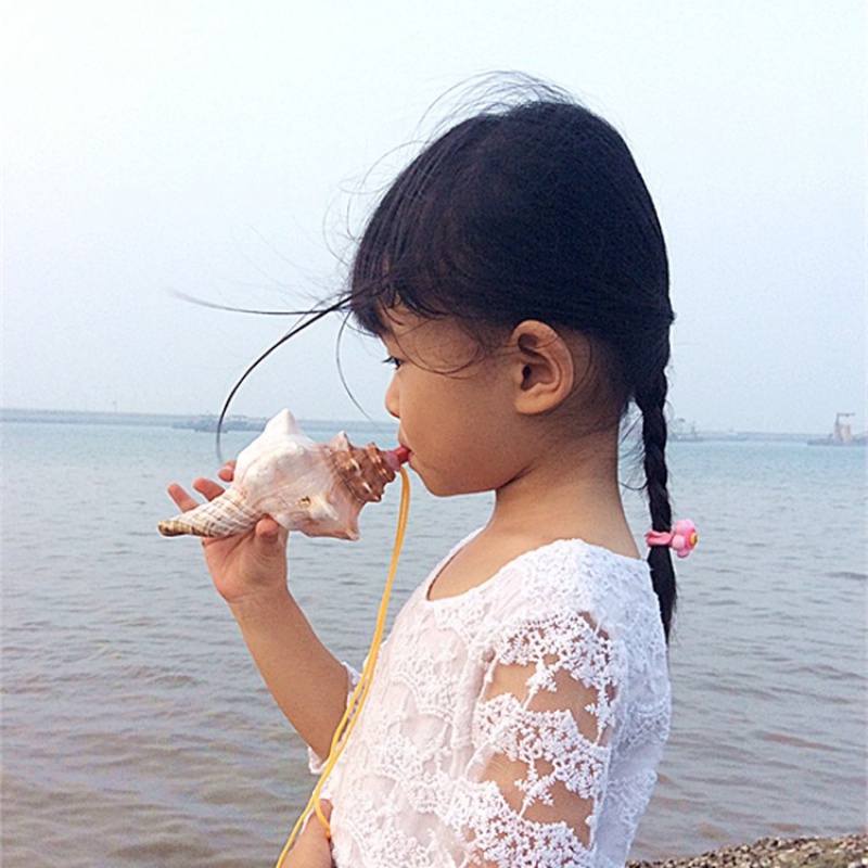 可以吹的海螺玩具口哨儿童创意小螺号摆件天然贝壳工艺品号角