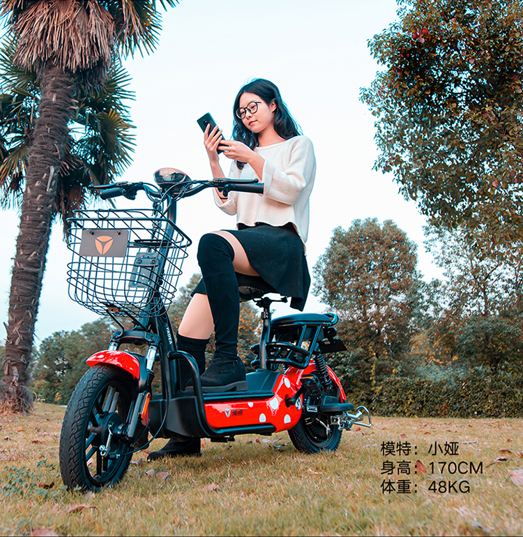 雅迪尚酷铅酸48v电动车踏板车电瓶车亲子代步车电动自行车简易款