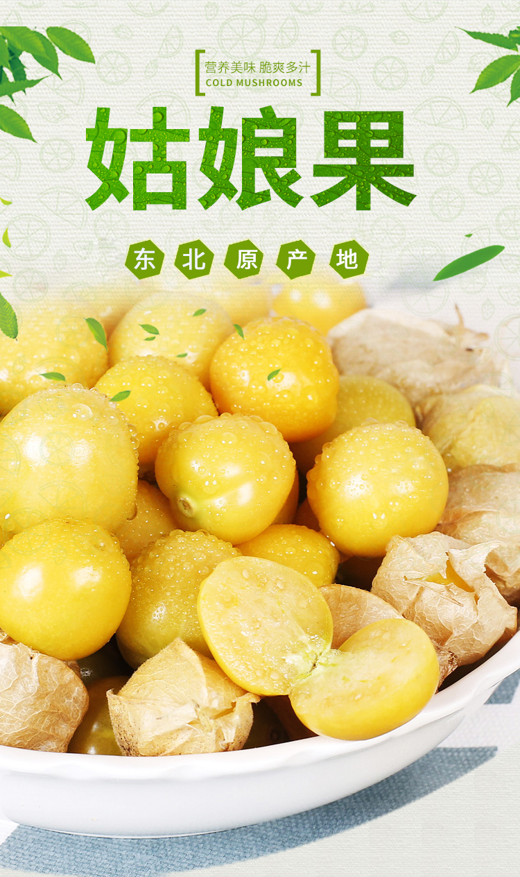 xj东北新鲜洋菇娘果大果姑娘果灯笼果菇凉果可开发票1500g