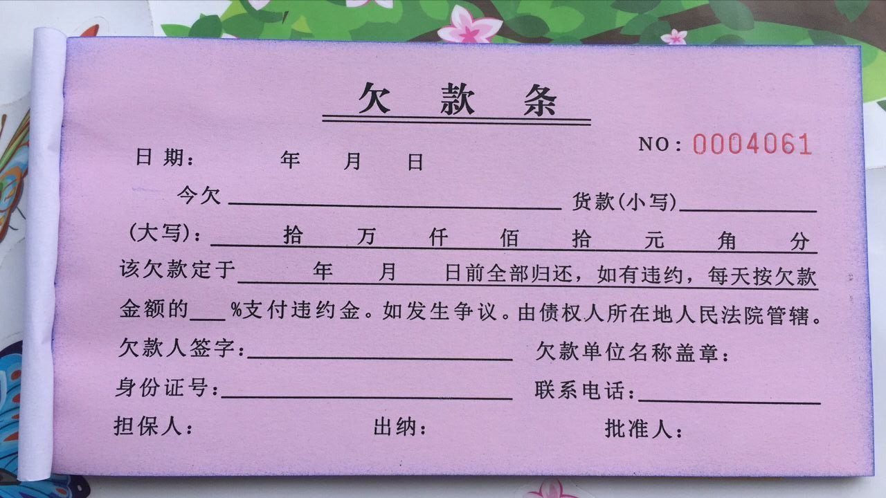 借款单款条 借条据款条款单款本 一本起卖特价 欠款条3本【价格 图片