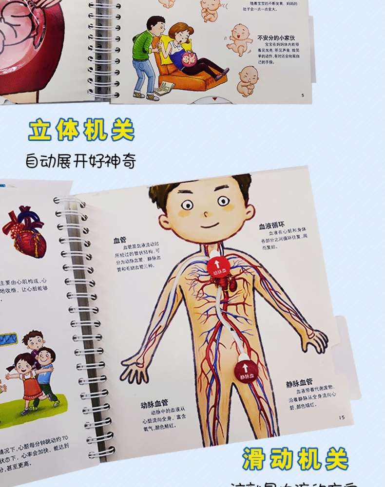 【诺森正版】我们的身体 儿童3d立体书 儿童人体认知百科书3-6-8岁
