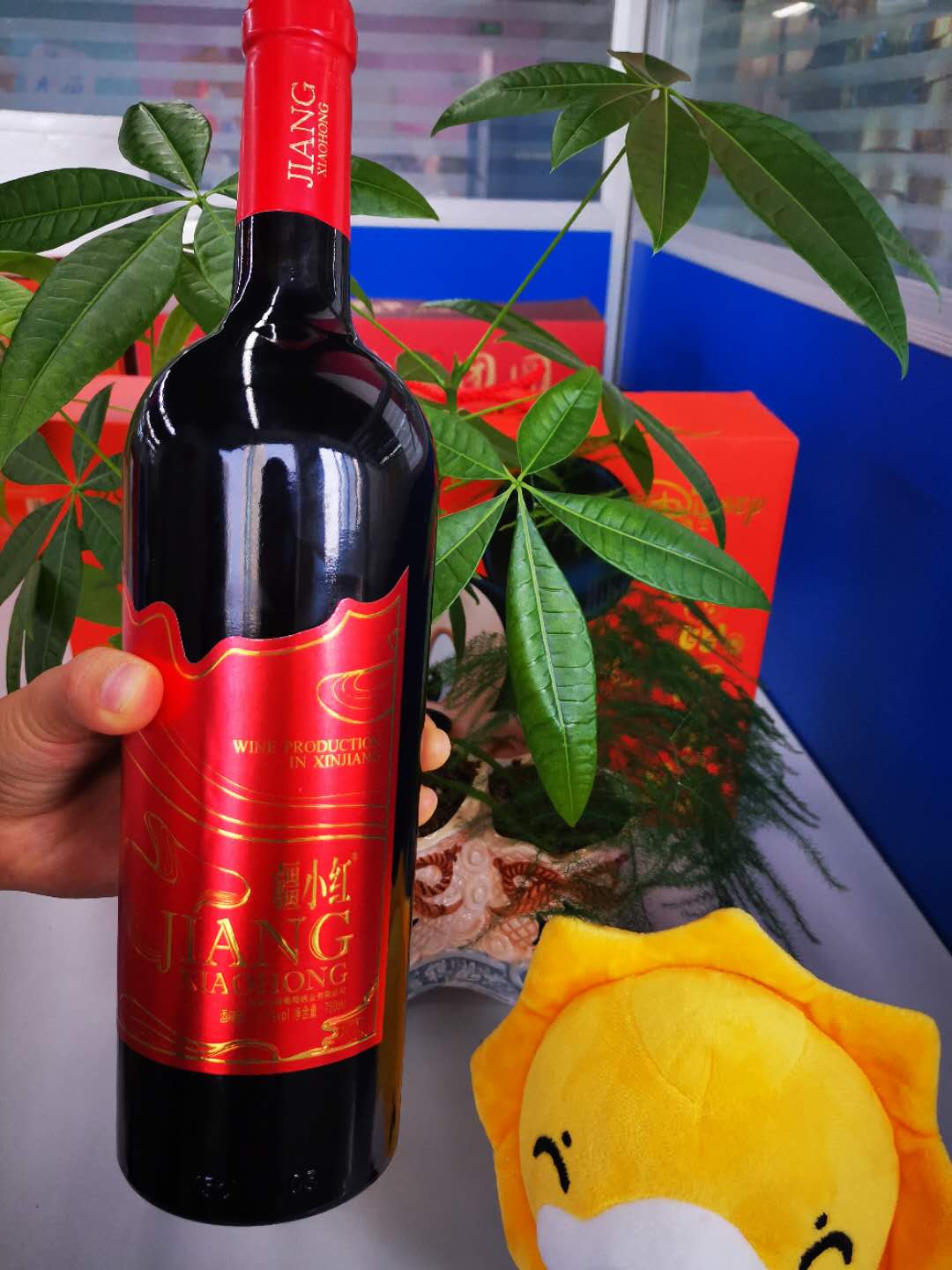 5° 红标单瓶750ml 2瓶装团购_高品质疆小红 赤霞珠葡萄酒 新疆焉耆