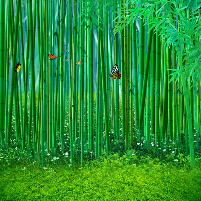 主播背景布墙纸装饰背景布快手拍视频外景新款竹林背景布|612 2米宽*