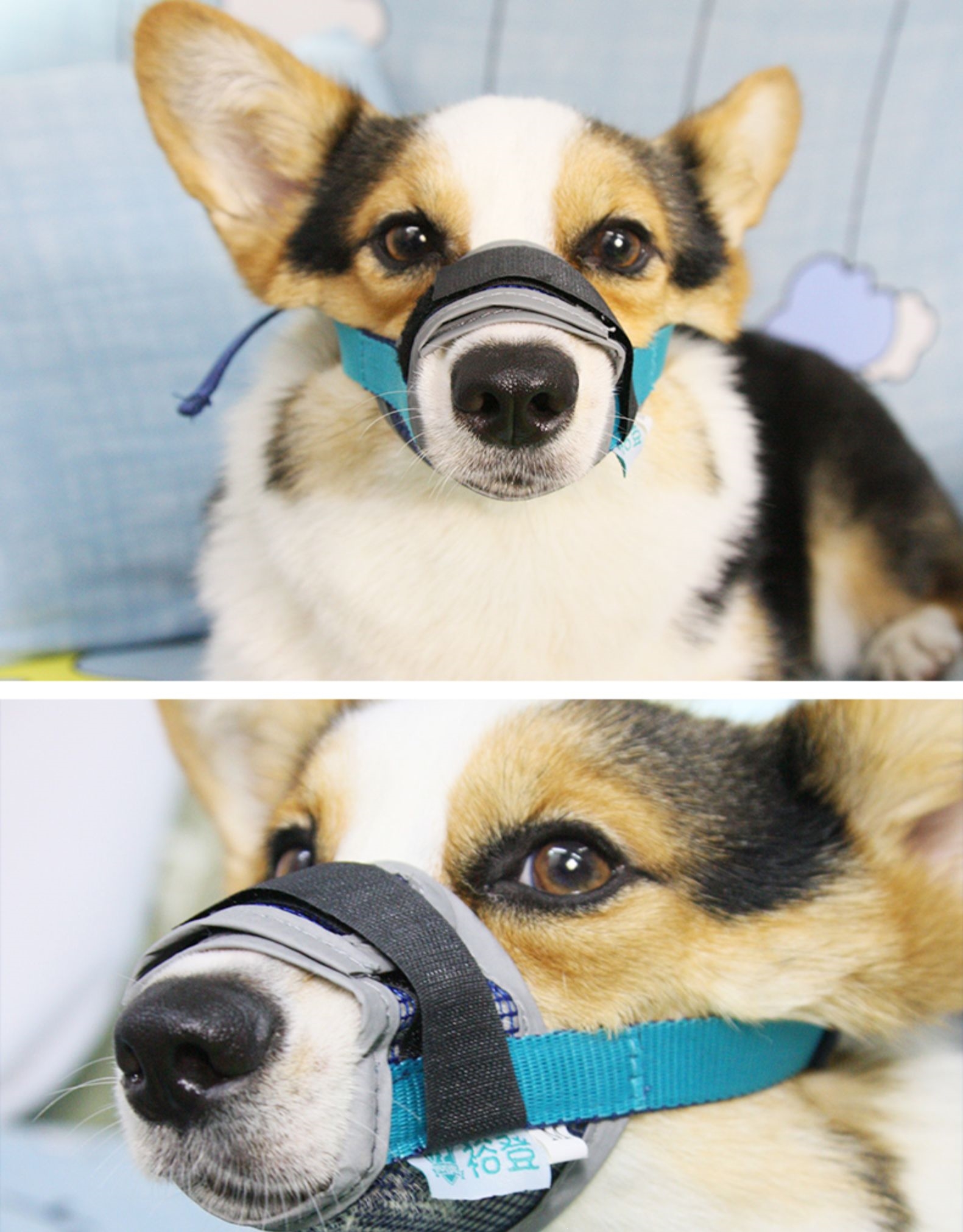 狗狗网状透气嘴套法耐防咬防叫防乱吃止吠器宠物嘴罩大中小型幼犬口罩