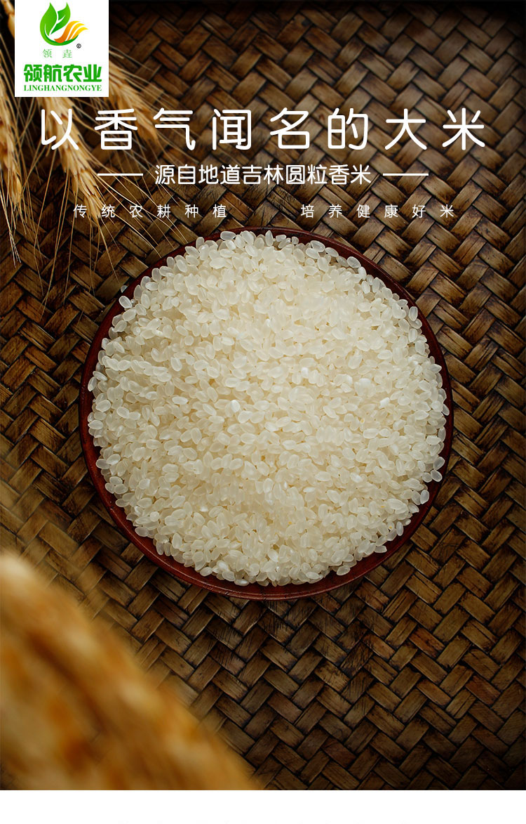 领垚吉林圆粒香米5kg礼盒装优质一级大米东北珍珠米原产直销香米家庭