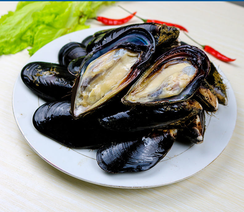 坏单包赔鲜活海虹青口贝贻贝淡菜新鲜直达紫口贝类海鲜水产1/5斤