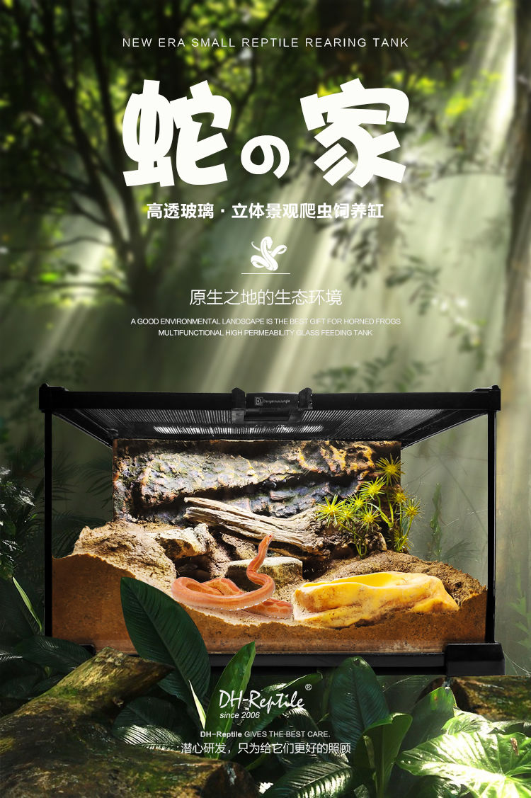 锁扣x2玻璃饲养箱套装爬虫缸雨林爬宠守宫蜥蜴角蛙蜘蛛甲虫变色龙生态