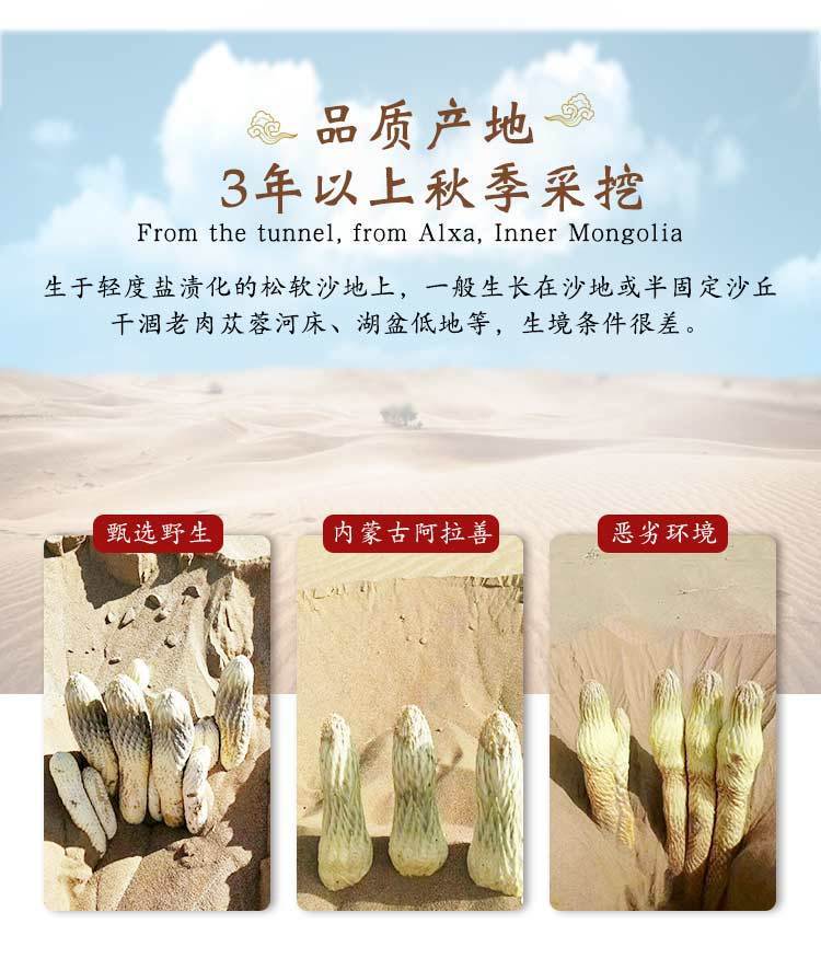 肉苁蓉250g双雄合一锁阳肉苁蓉野生滋补品泡酒药材250g罐男人茶