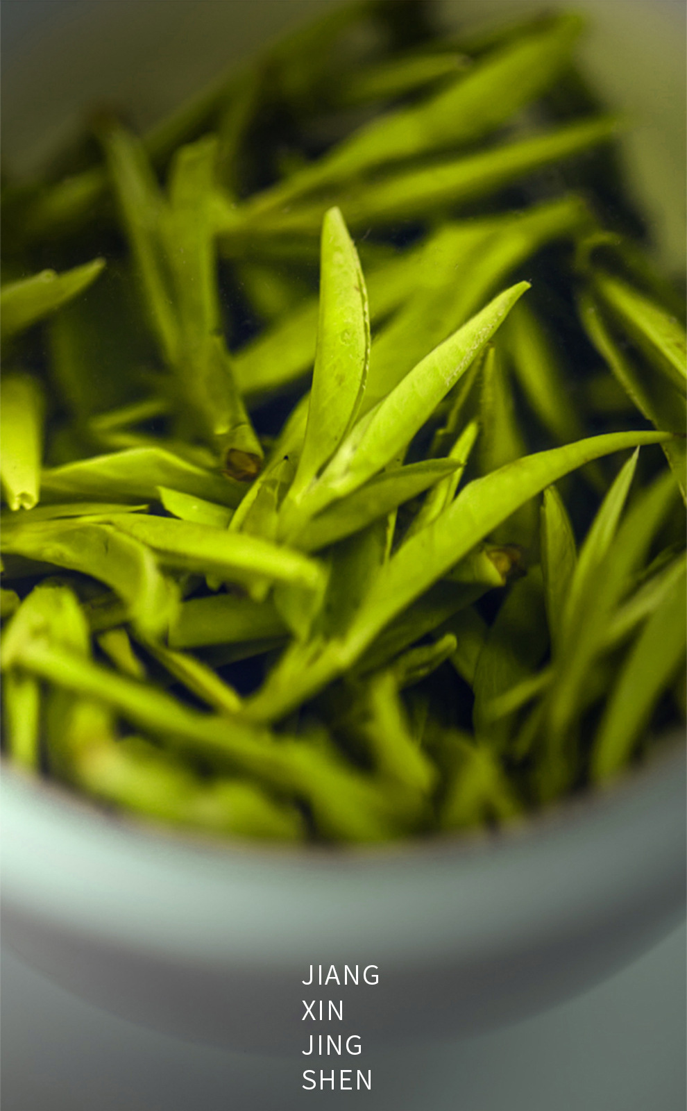 春逸茗茶明前龙井茶2022年新茶龙井绿茶春茶龙井罐送礼礼盒装200g