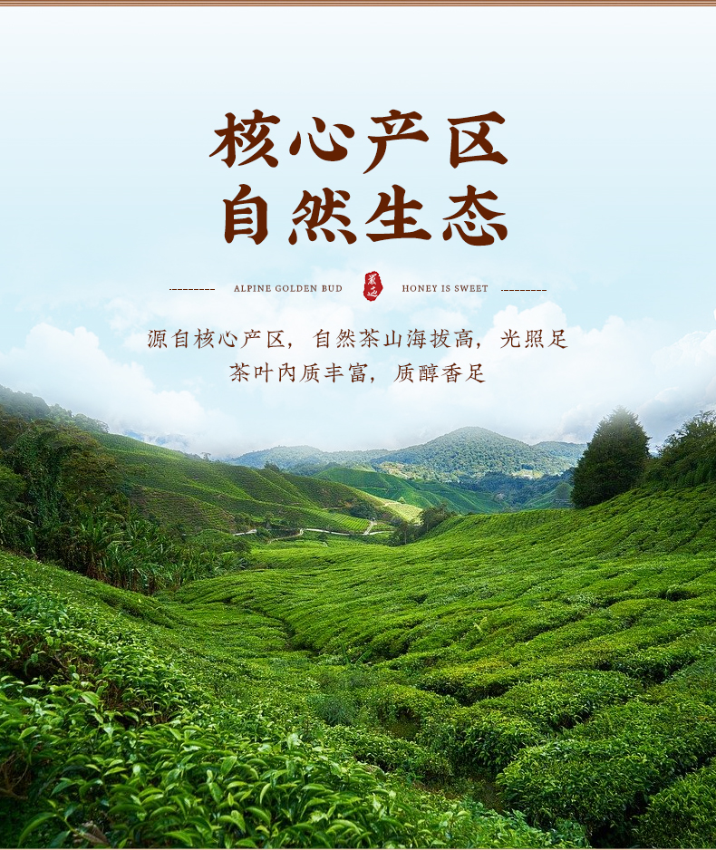 尊爵英德红茶英红九号茶叶罐装150克