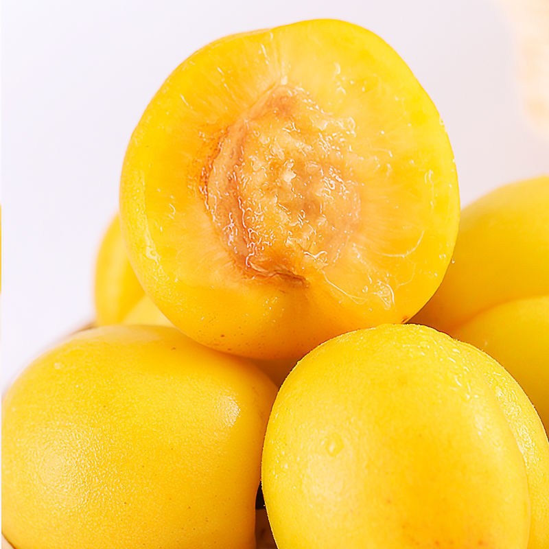 山东大黄杏当季现摘新鲜甜杏梅孕妇水果5斤