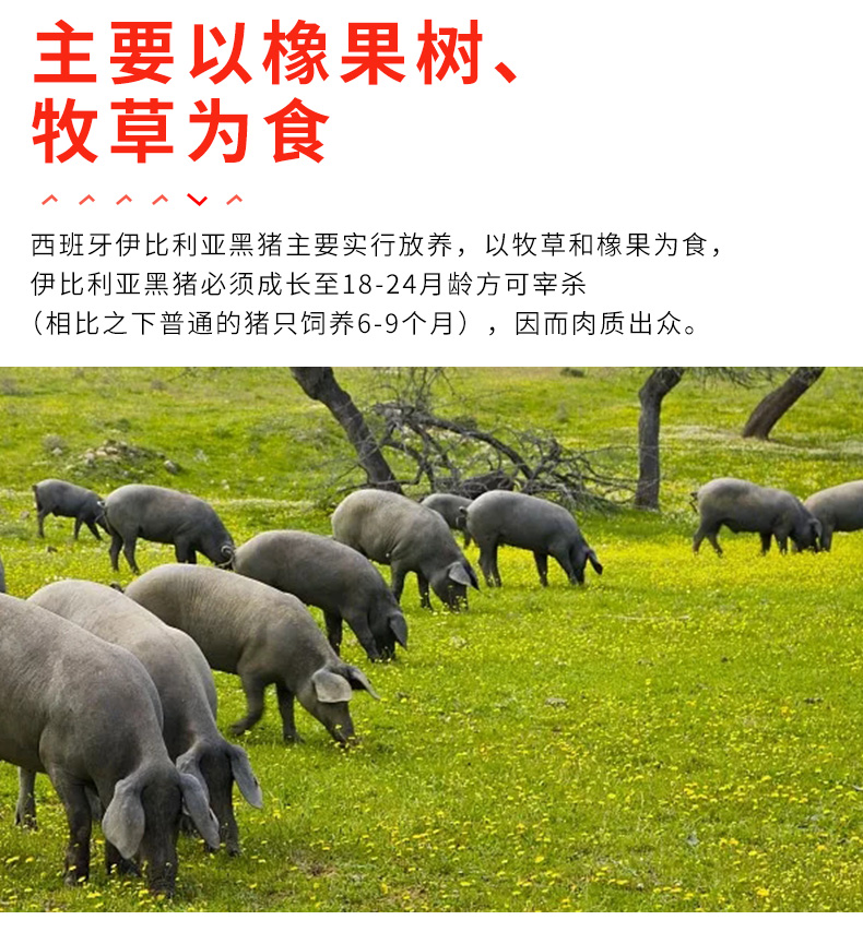 渔鼎鲜西班牙原切橡果黑猪梅花肉1250g伊比利亚黑毛猪颈肉西餐烧烤