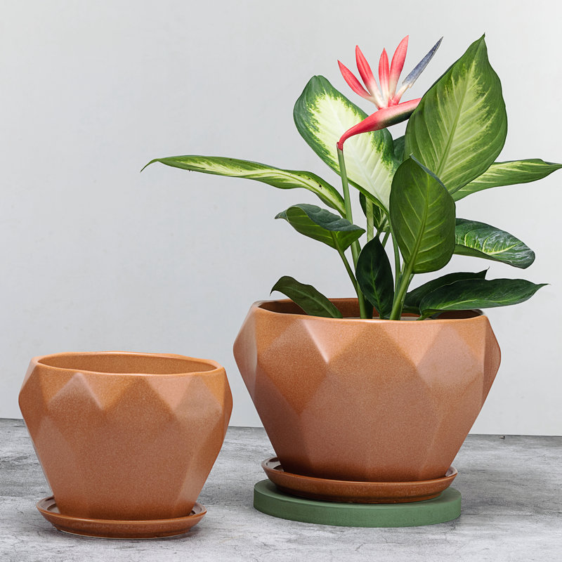 花盆陶瓷大码清仓大号孔雀蓝兰花瓷盆芦荟盆圆形瓷花钵大红福盆