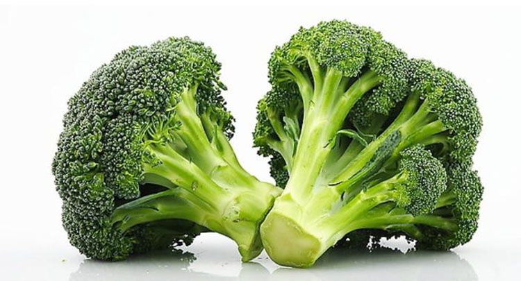 【上海发】西兰花 1kg 新鲜蔬菜