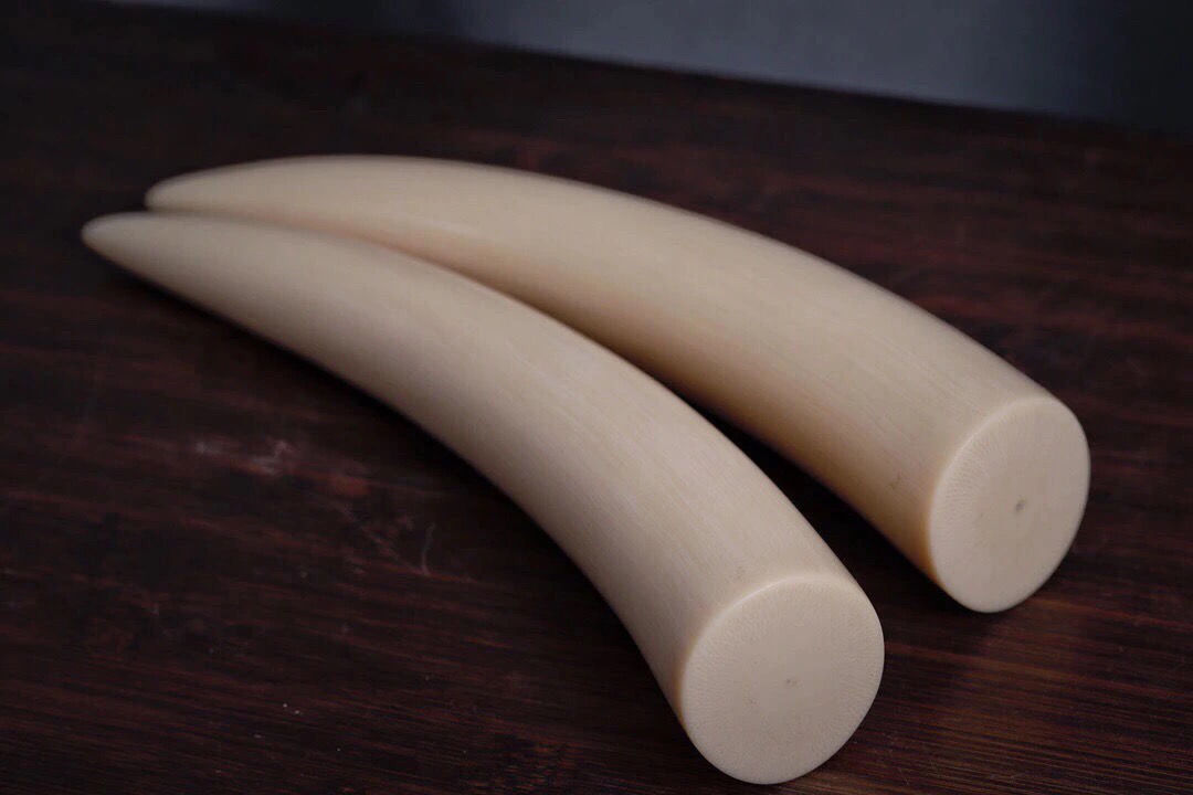 保真天然猛犸象牙摆件乳牙尖素牙雕刻摆件办公室文玩牙雕饰品直播间选