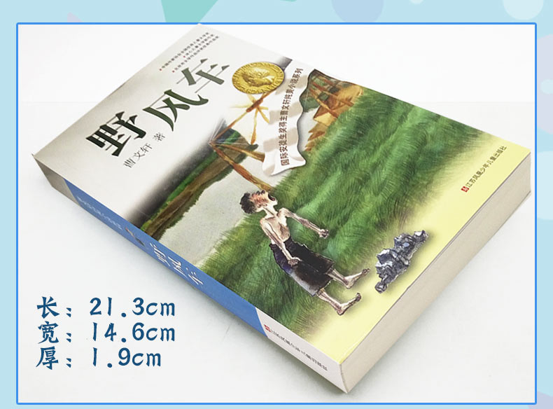 野风车曹文轩纯美小说系列青少年小学生课外阅读书籍江苏少儿出版社