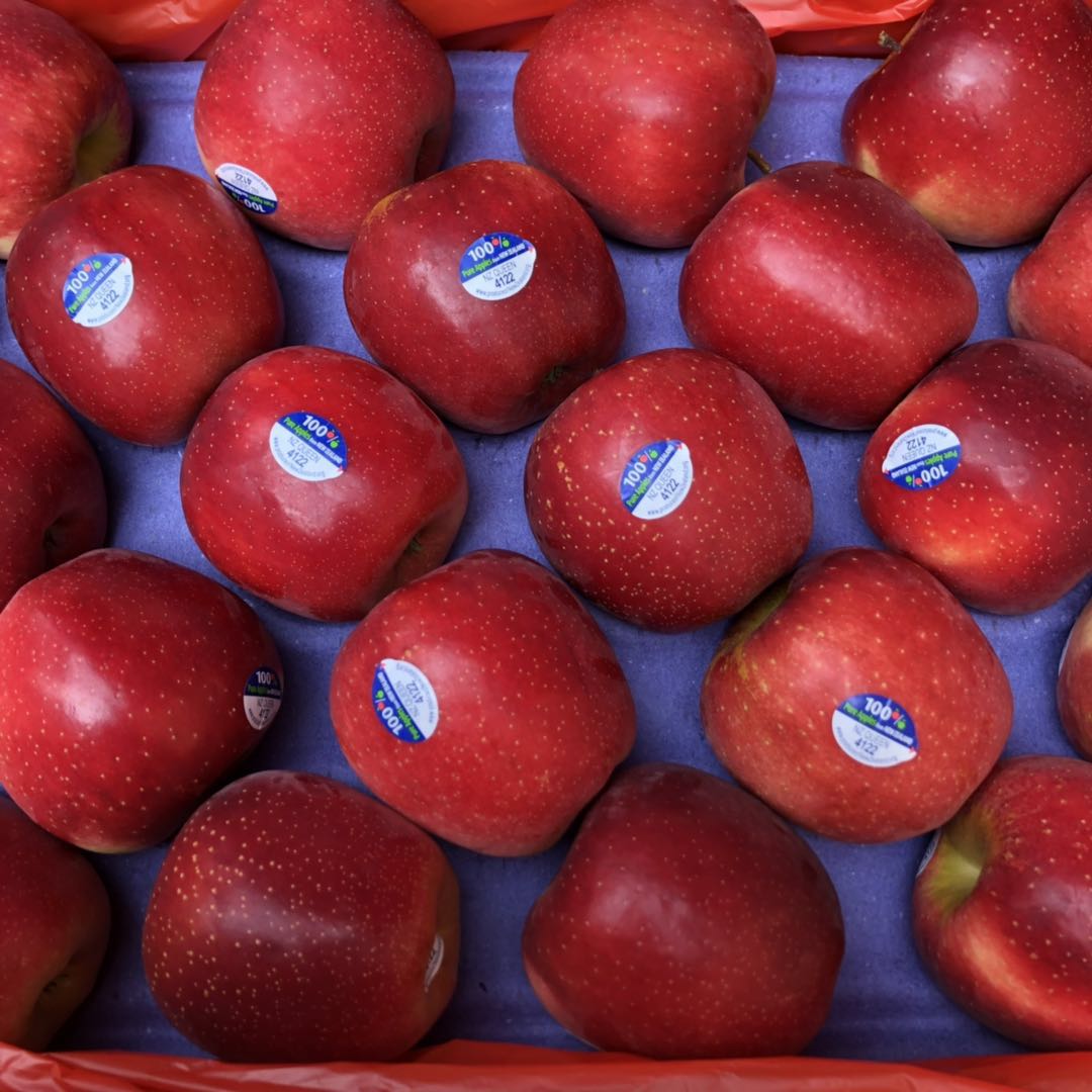 个人店其他品牌礼盒套装001360 新西兰红玫瑰苹果10只装 queen进口苹