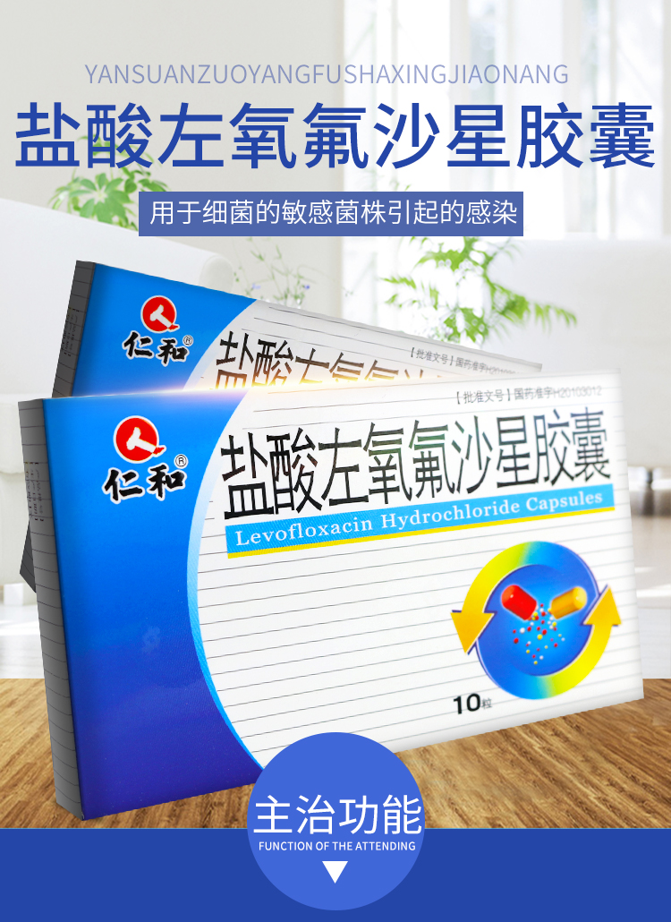 仁和盐酸左氧氟沙星胶囊01g10粒盒急慢性支气管炎氟哌酸扁桃体炎泌尿