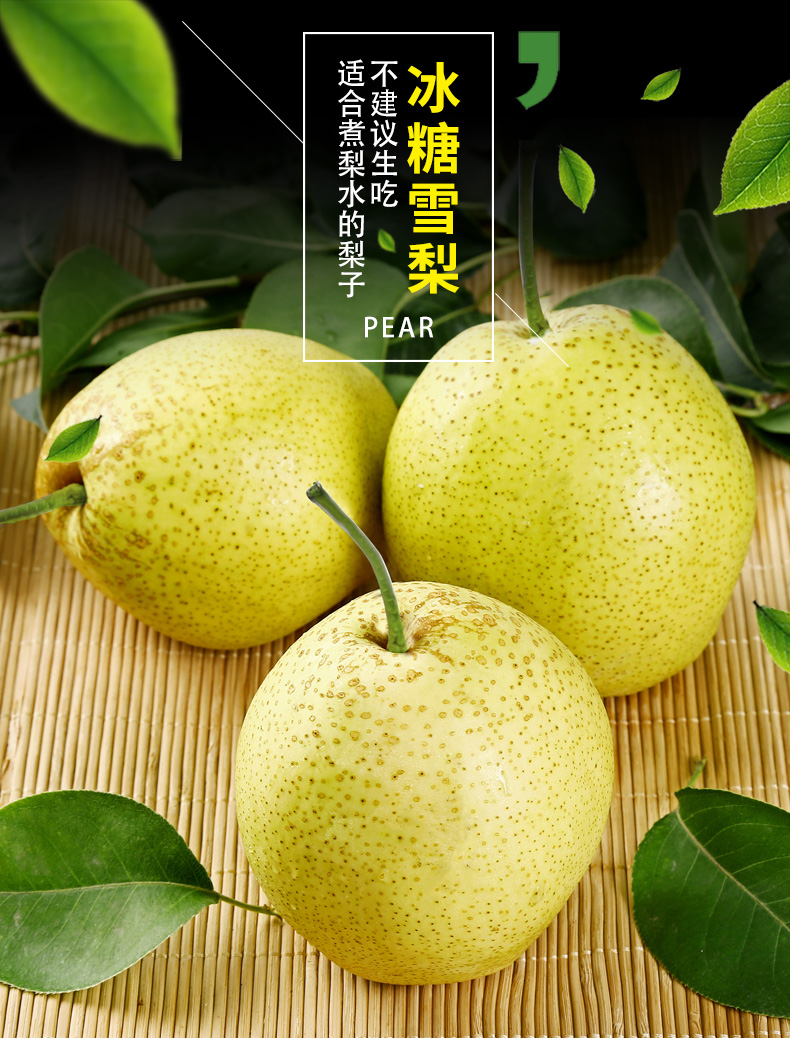 日本pear雪梨图片