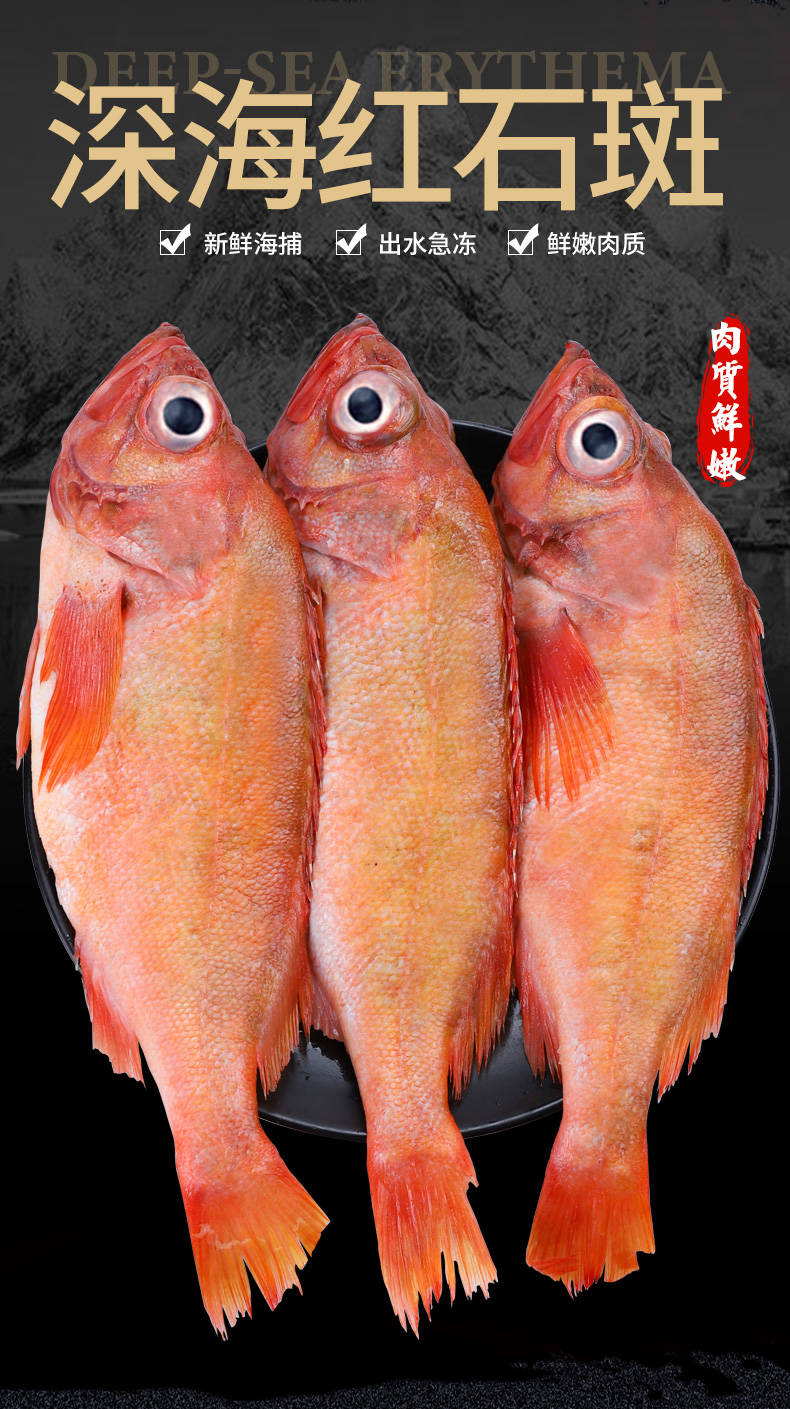 新鲜红石斑鱼冷冻整条大龙胆鱼富贵鱼活体深海鱼鲜活海鲜水产1斤试吃