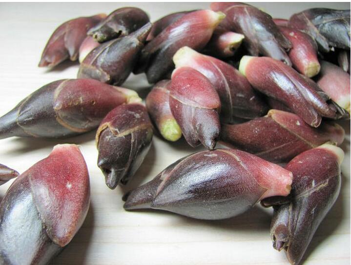 15kg新鲜阳荷姜洋荷元和姜洋霍元荷野山姜茗荷阳霍姜