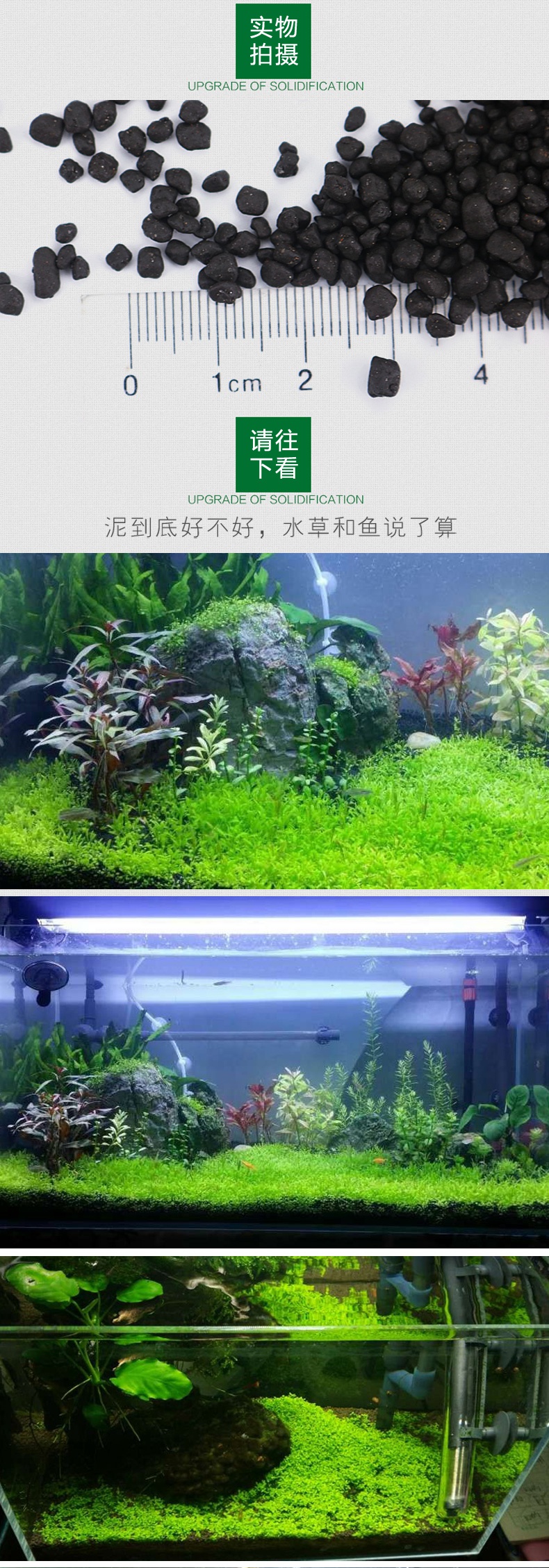 精居坊装饰摆件悦芳华鱼缸水族箱造景水草泥鱼缸底砂黑泥免水洗细粒1斤 粗细混合升级版 价格图片品牌报价 苏宁易购芸竹家居专营店