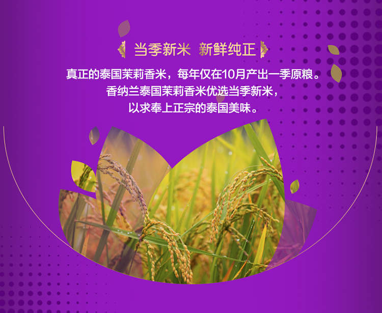 香纳兰泰国茉莉香米5kg