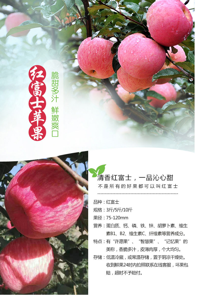 红富士苹果3/5/10斤果园直发新鲜水果脆甜多汁(3斤6-8个)甘鲜生【价格
