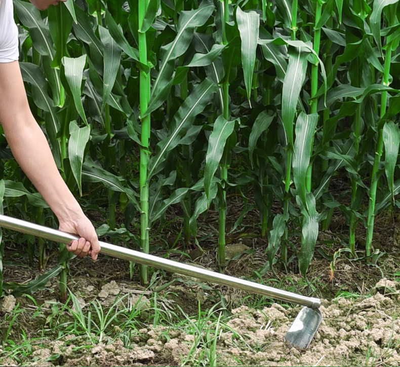 jingping户外园艺全不锈钢锄头长柄除草挖笋农具锄头种菜翻地开山翻土