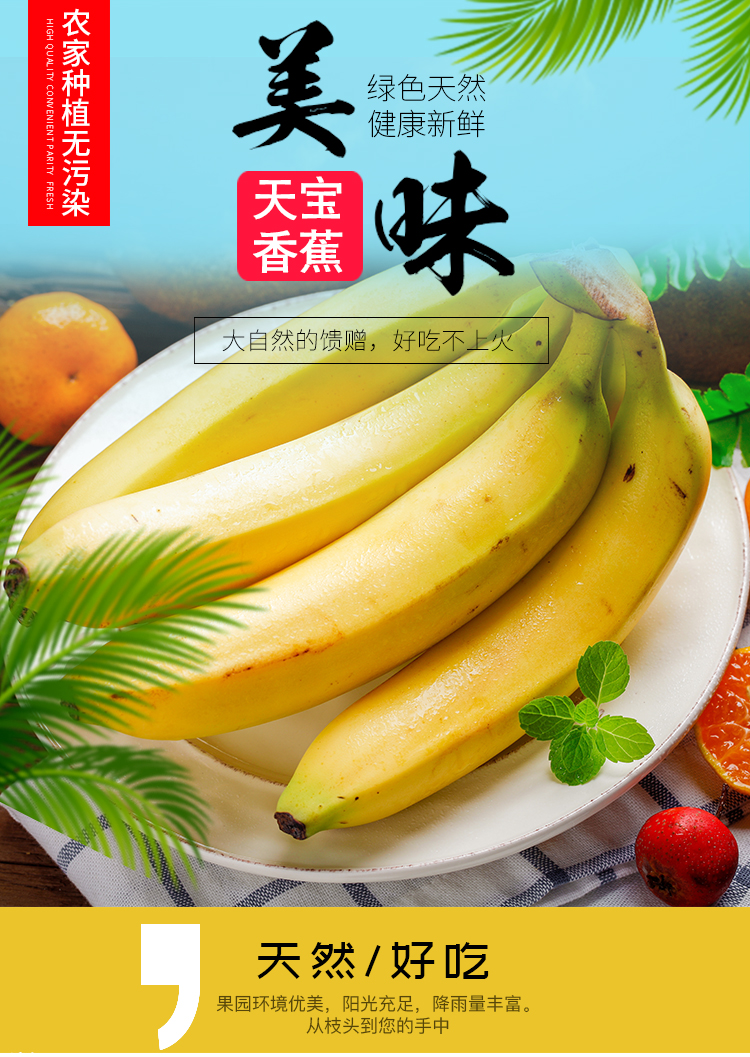 西沛生鲜福建天宝香蕉5斤箱装新鲜当季水果香甜软糯孕妇宝宝辅食