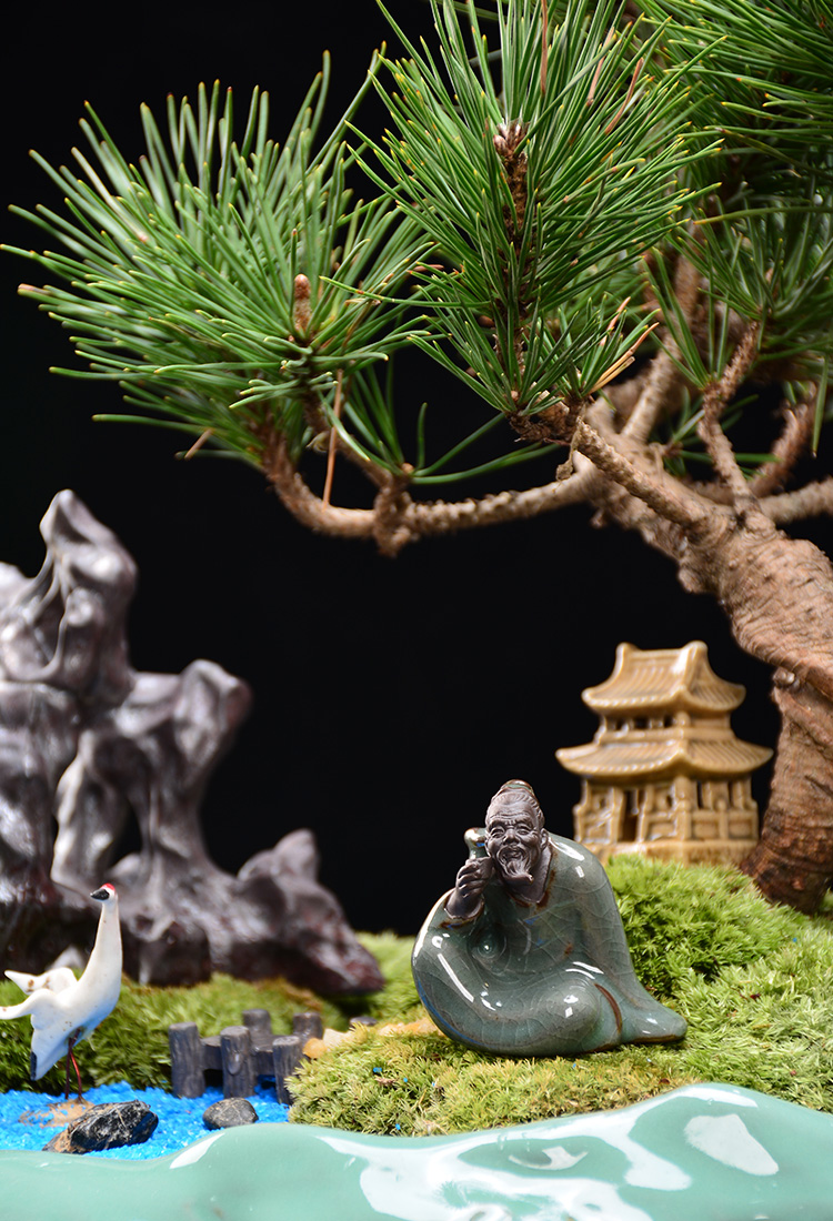 花宠桌面禅意迷你小摆件陶瓷创意茶宠哥窑小和尚微景观花盆装饰品蜗牛