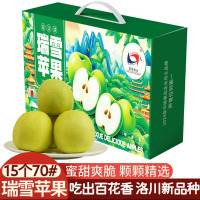 陕西洛川苹果新品种瑞雪苹果精美礼盒装15枚/12枚装新鲜苹果水果