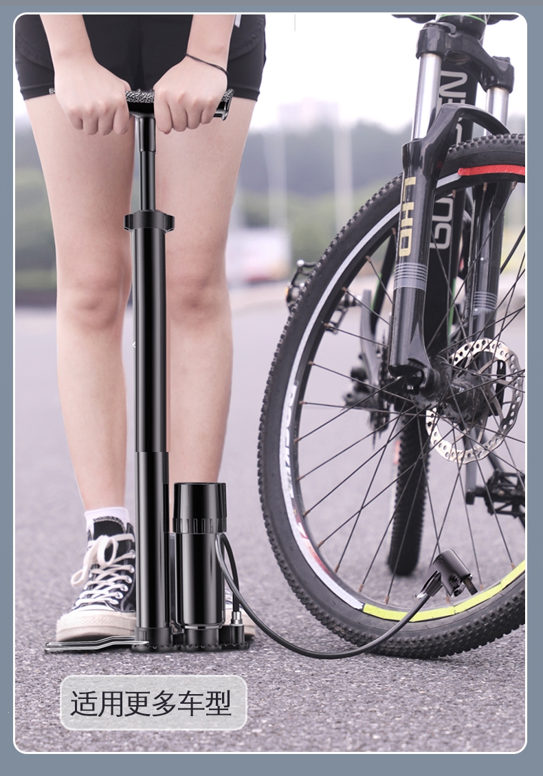 打气筒王太医自行车高压便携小型家用电动摩托电瓶车汽车篮球管子充气