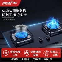 迅达M1双旋流猛火灶天然气