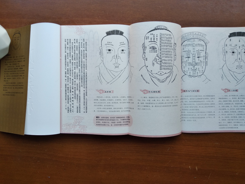 学-中国古代相术国学名著(文白对照足本全译)相法大全男女手相面相学