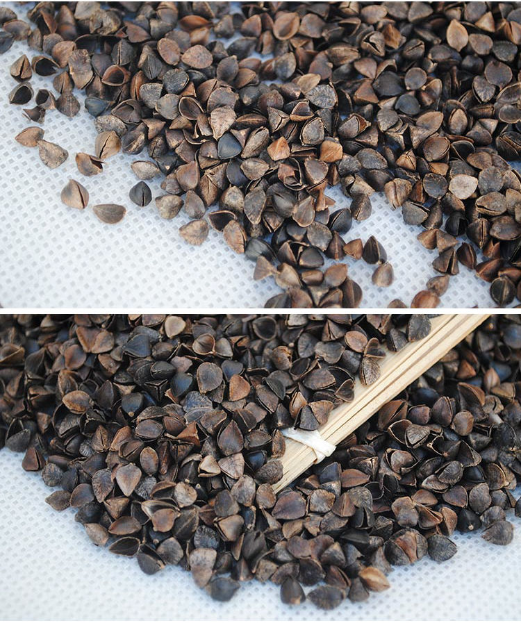 荞麦壳荞麦皮棱子皮高温免洗消毒婴儿枕荞麦枕芯枕填充物枕芯