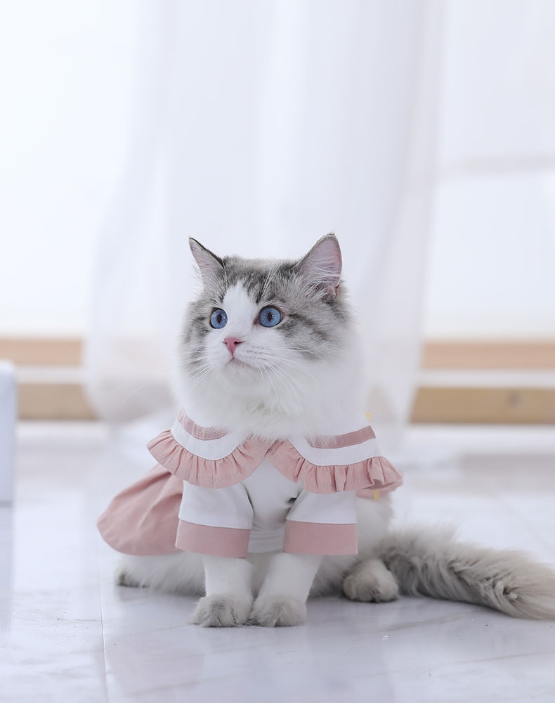 小猫咪衣服夏季米妮薄款夏天裙子猫猫jk布偶猫小猫幼猫宠物连衣裙夏装