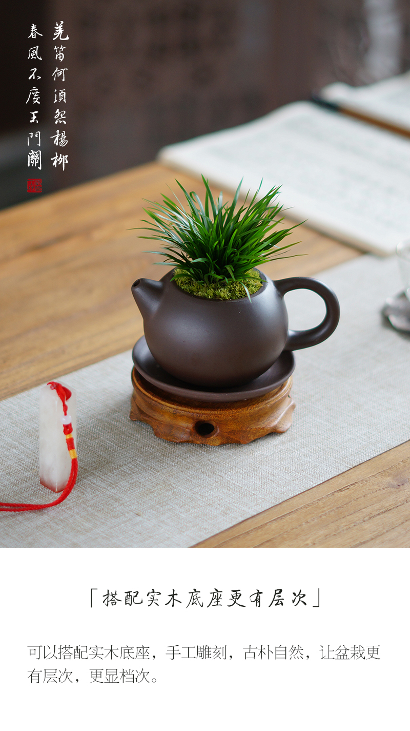 雪紫砂壶盆栽中式桌面茶台迷你盆景桌面植物茶桌室内好养绿植【价格