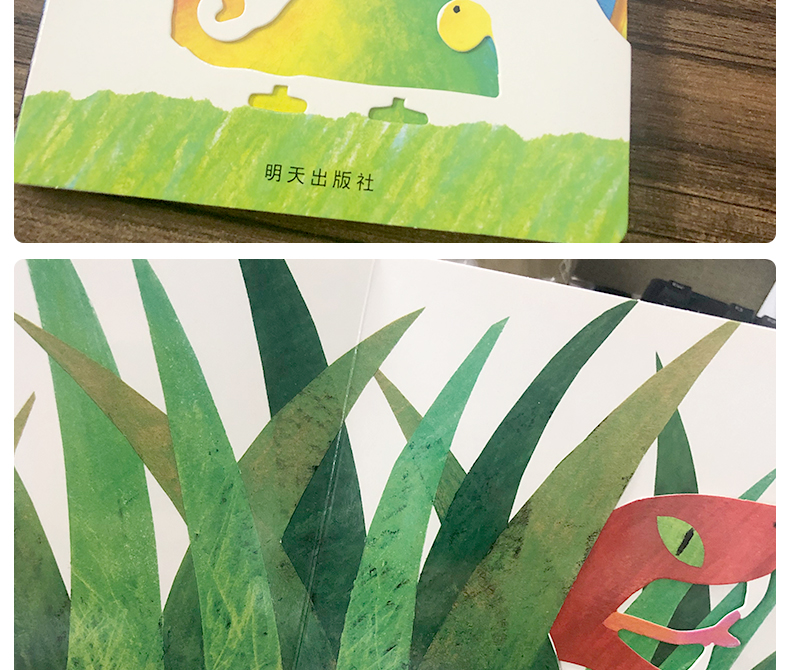 [顏系圖書]變色龍捉迷藏 繪本明天出版社信宜系列經典兒童幼兒園早教