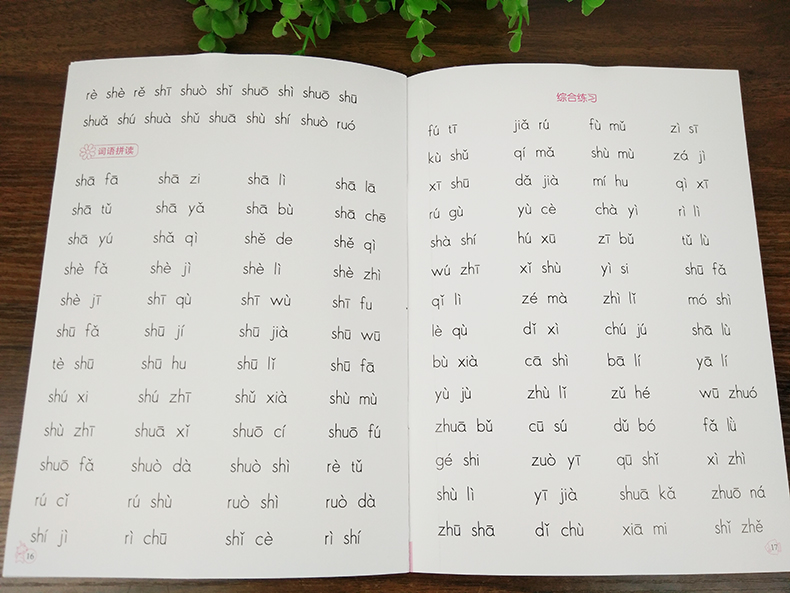 全2册无汉字拼音阅读训练拼音拼读教材一年级幼小衔接拼音练习一年级